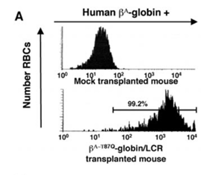 GeneTherapy